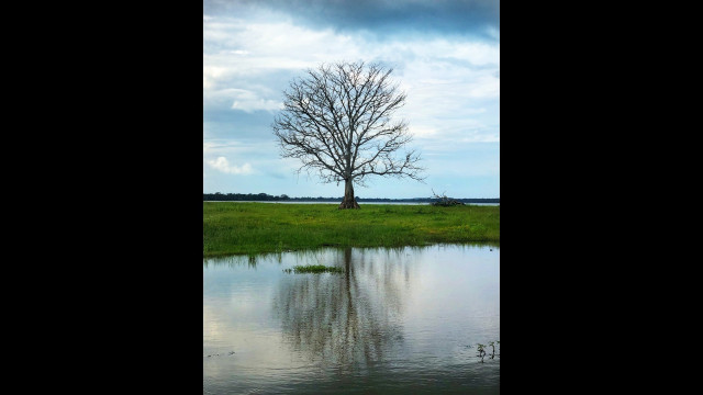 Nature