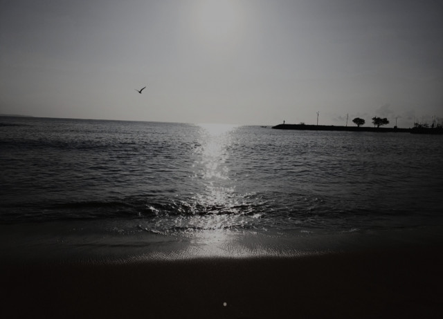 Black and White Morning