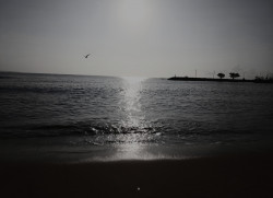 Black and White Morning