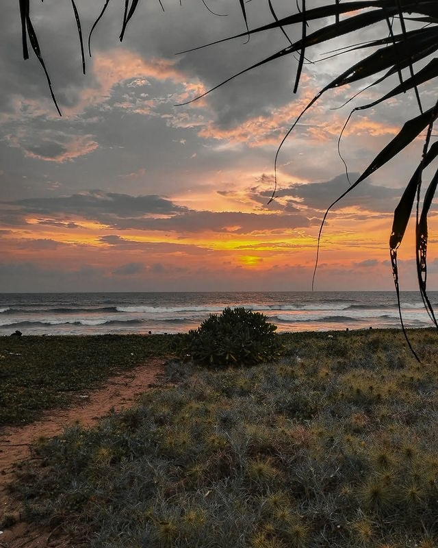 Beauty of the evening beach side