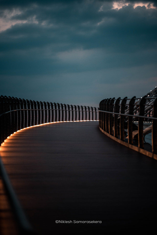 The Bridge