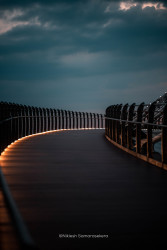 The Bridge