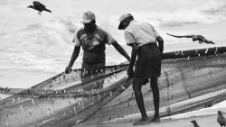 Livelihood