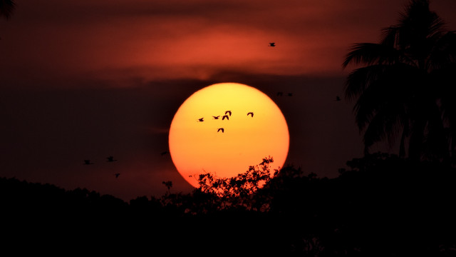A stunning evening