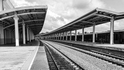 Linear shapes