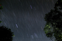 stars