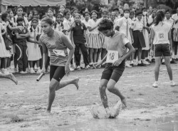 Not competition It's Playfulness
