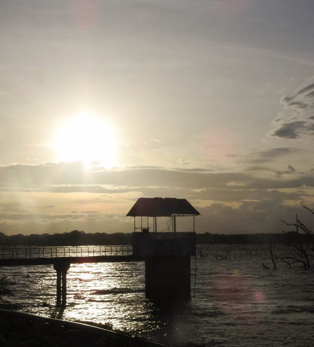 Sunrise