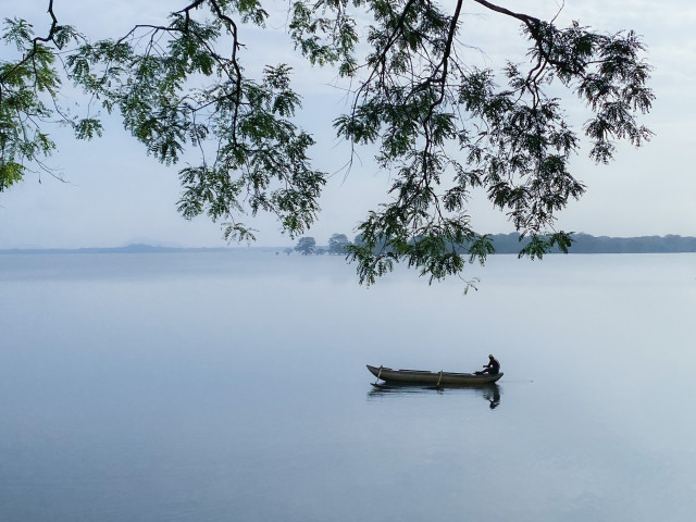 Sailor's Solitude
