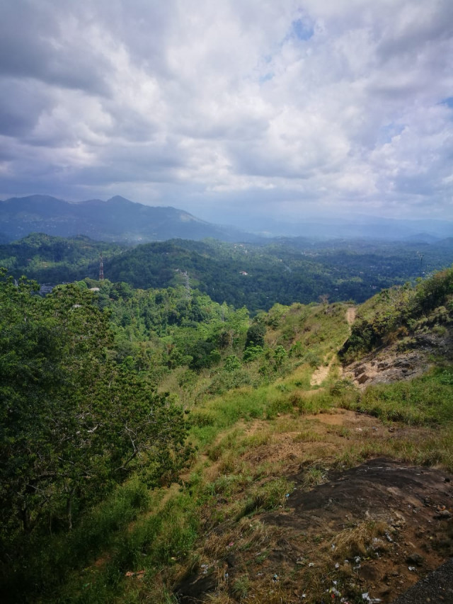 Nature