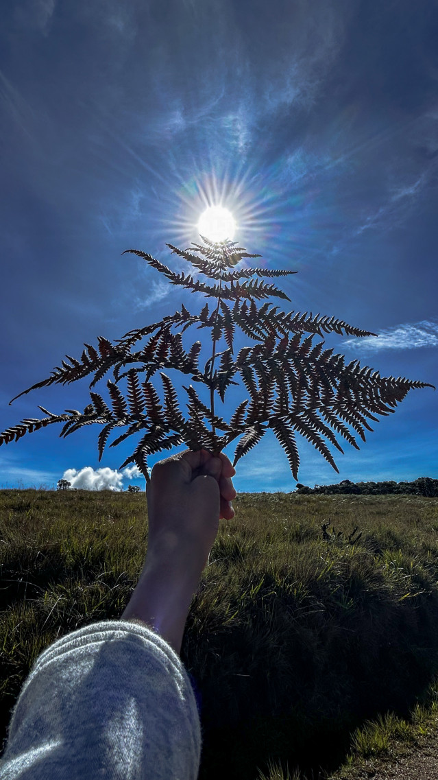 Path To the Sun