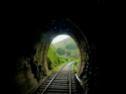 A journey to remember