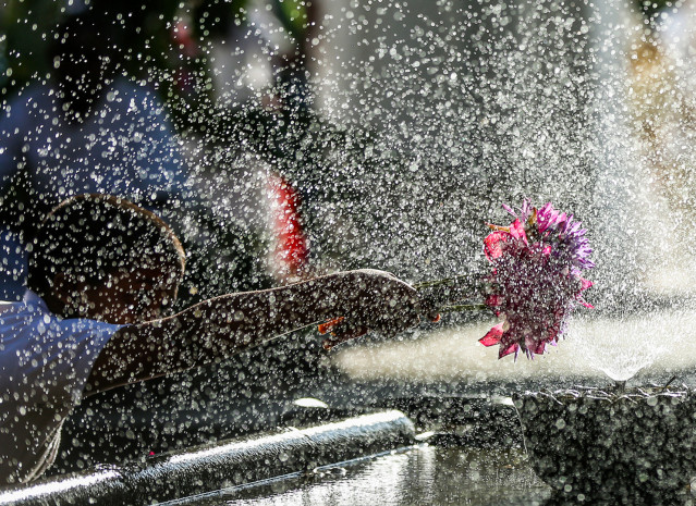 Fresh flowers