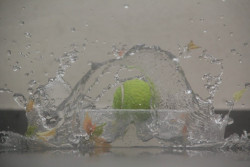 Ball falls into the water