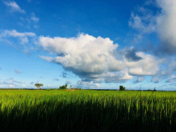 A one huge cloud