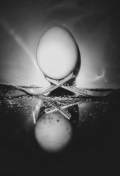balance