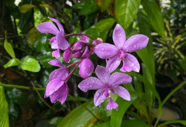 While Blooming