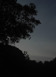 Beauty Of A evening