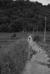 Path