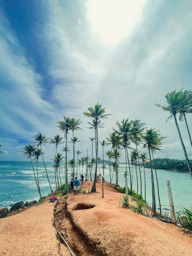 Coconut Tree Hill - Mirissa