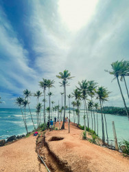 Coconut Tree Hill - Mirissa