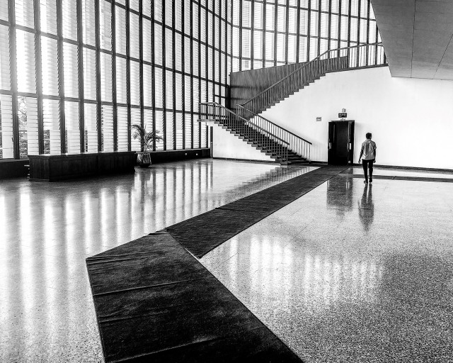 Lines