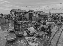 fisherfolk