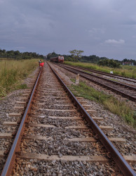 signalman