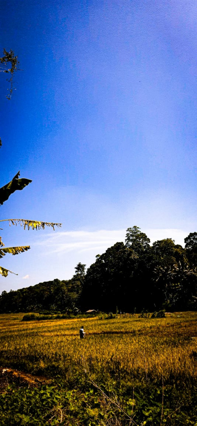 Mobile Photography Of Hazim Ahmad From D.S.Senanayake