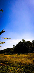 Mobile Photography Of Hazim Ahmad From D.S.Senanayake