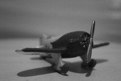 Wings of Freedom