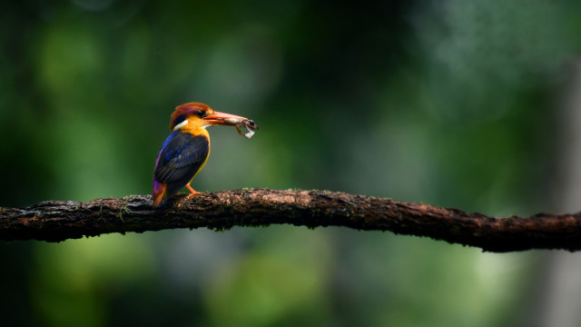 අවසාන මොහොත