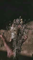 End Of All things