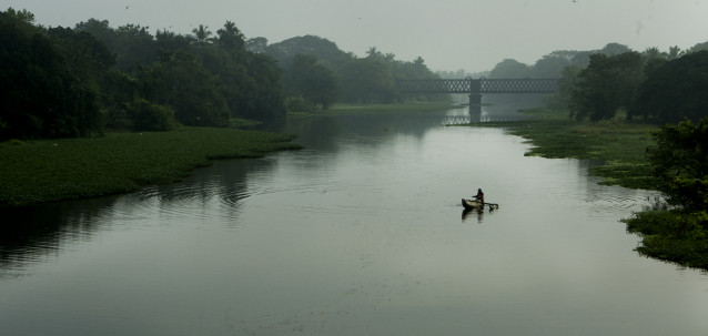 තොටියෝ