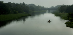 තොටියෝ