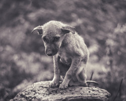 Poorness