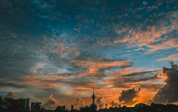 Golden evening