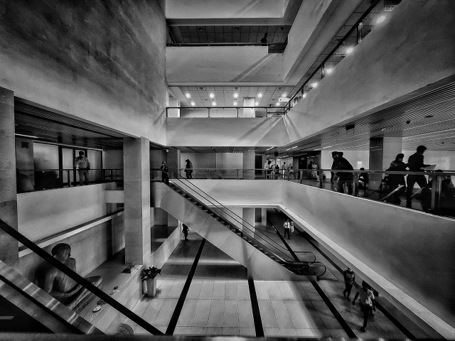 Lines and Shades
