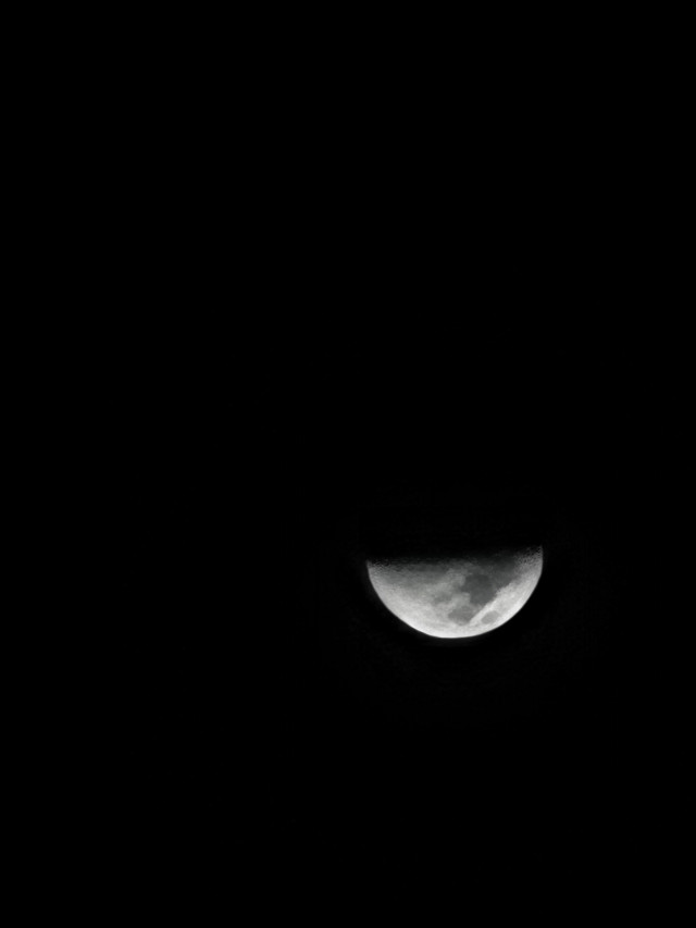 Moonstruck