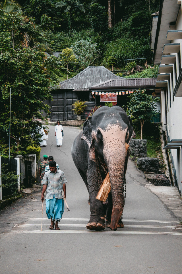 Kandy