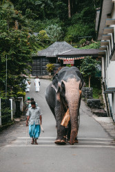 Kandy