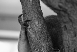 Hanging by the last finger