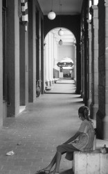 Embracing the Present Moment in a World of Distraction