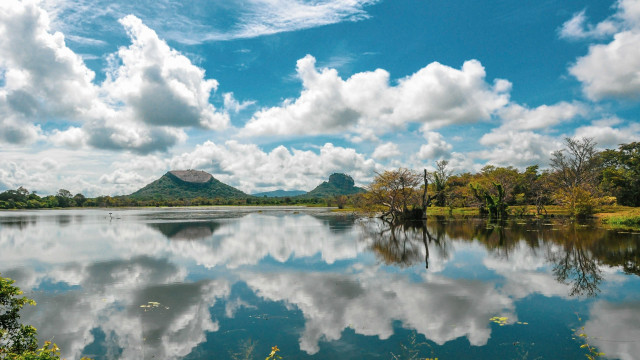 Nature mirror
