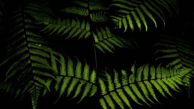 Living Patterns