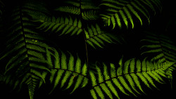 Living Patterns