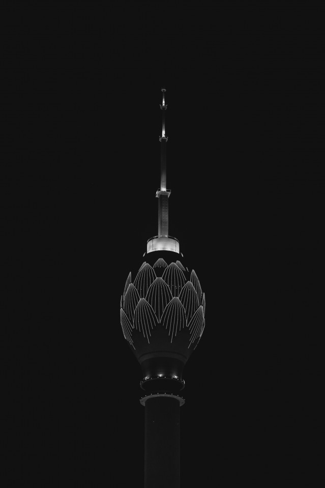 The dark lotus