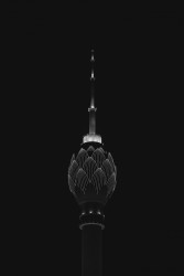 The dark lotus