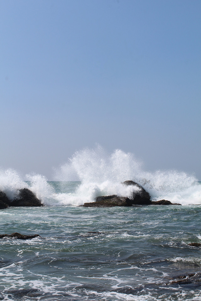 Harmony with the Waves