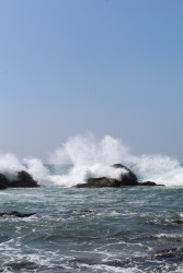 Harmony with the Waves